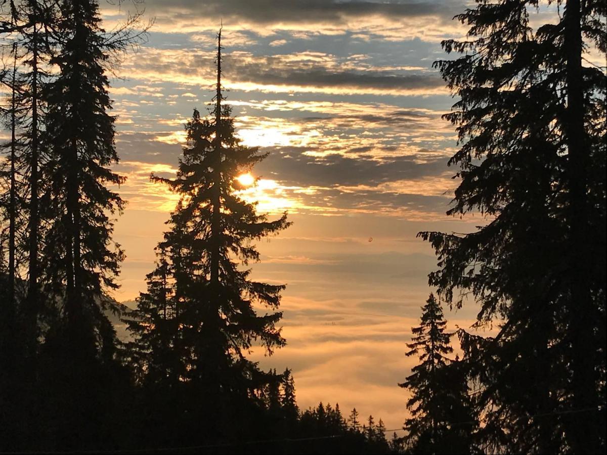 Alpin Eco Chalet & Wellness Drahobrat Dış mekan fotoğraf