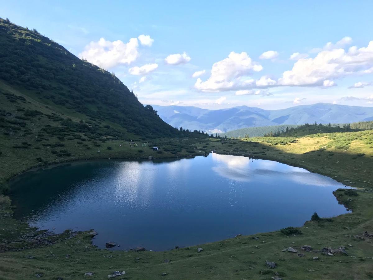 Alpin Eco Chalet & Wellness Drahobrat Dış mekan fotoğraf