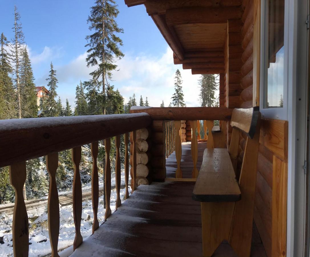 Alpin Eco Chalet & Wellness Drahobrat Dış mekan fotoğraf