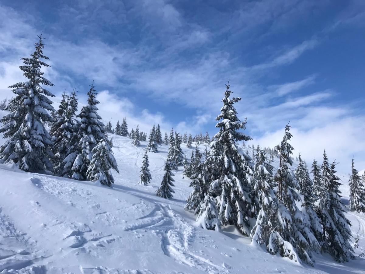 Alpin Eco Chalet & Wellness Drahobrat Dış mekan fotoğraf