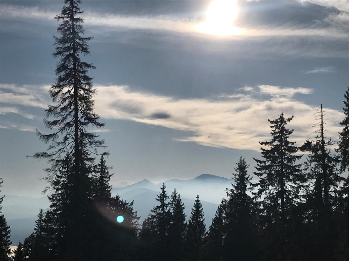 Alpin Eco Chalet & Wellness Drahobrat Dış mekan fotoğraf