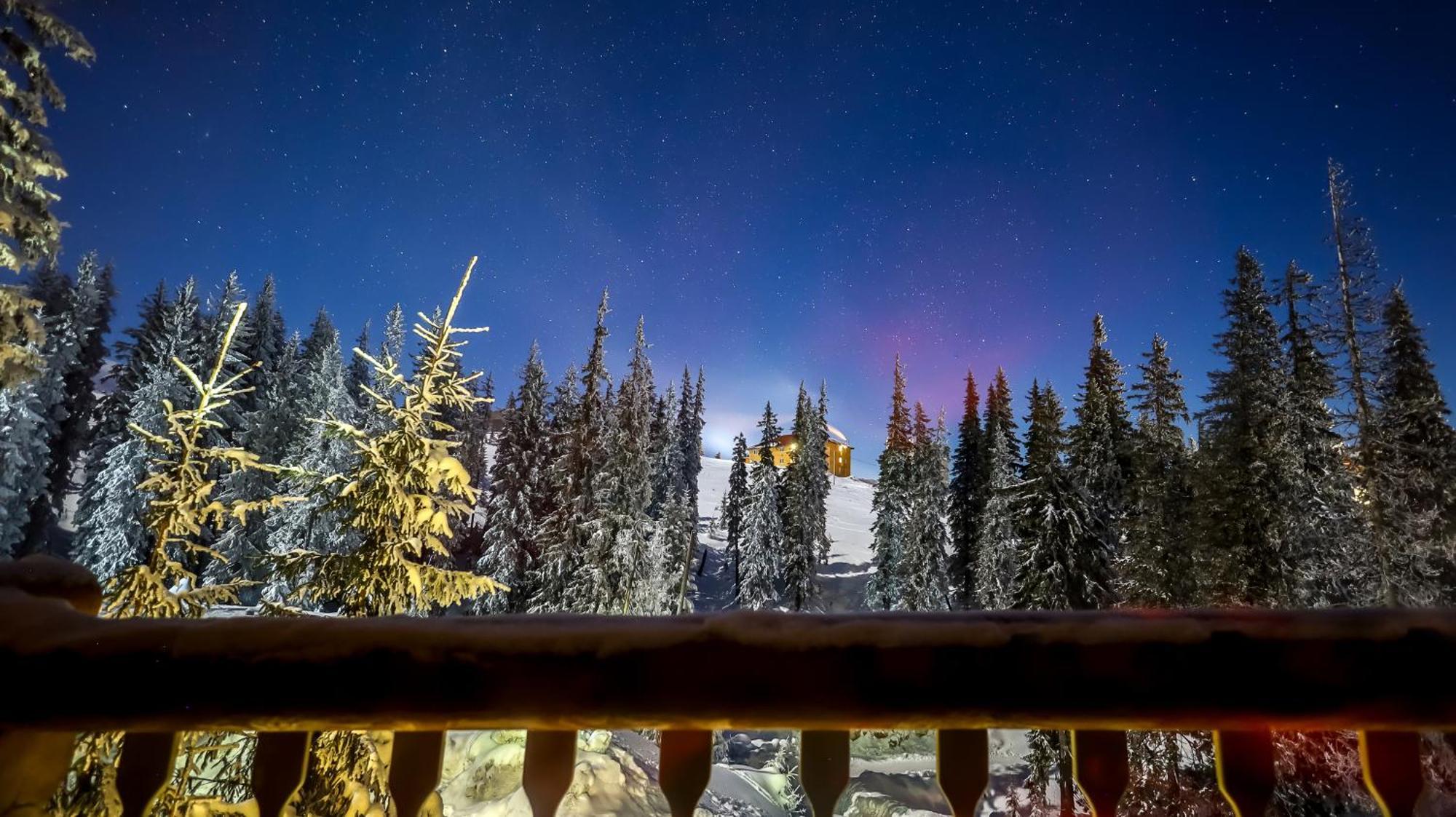 Alpin Eco Chalet & Wellness Drahobrat Dış mekan fotoğraf