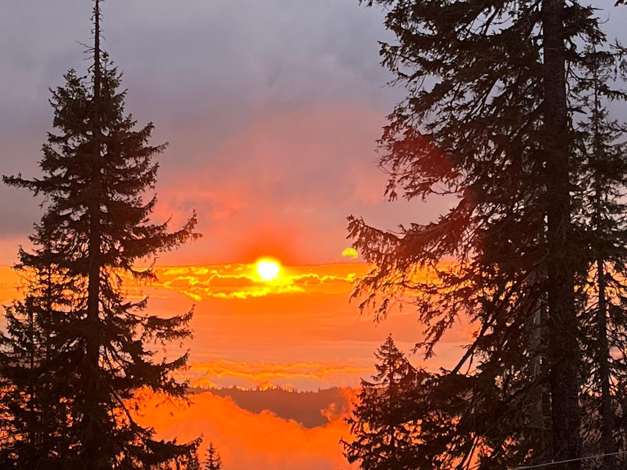 Alpin Eco Chalet & Wellness Drahobrat Dış mekan fotoğraf